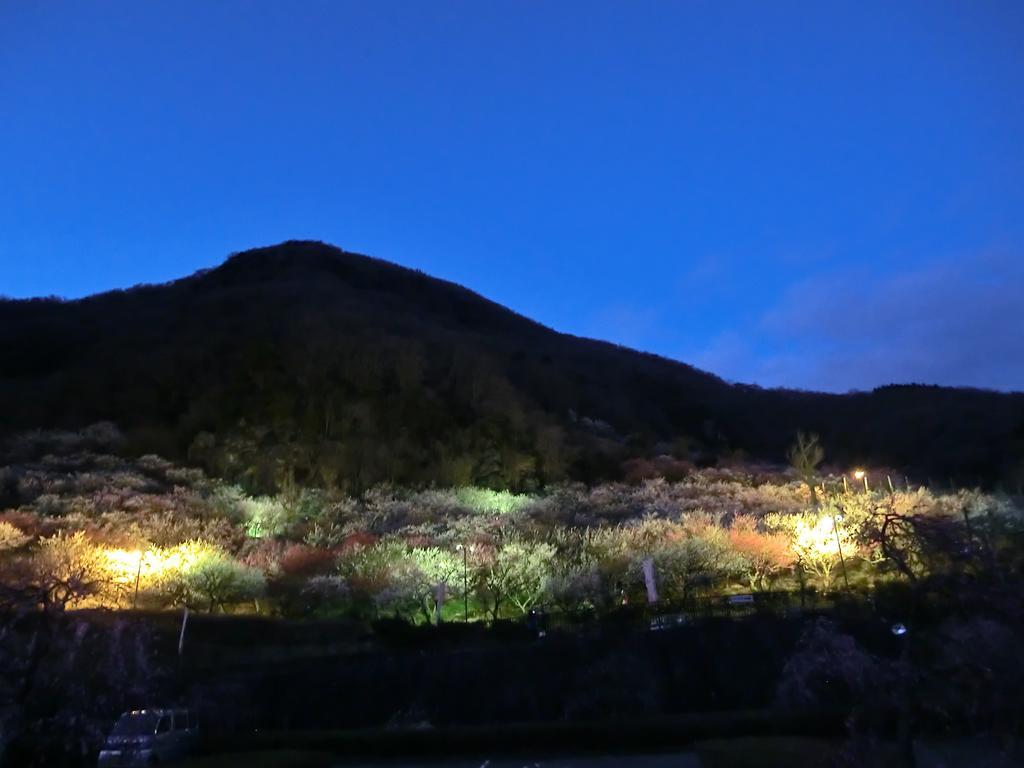 Yugawara Onsen Kawasegien Isuzu Hotel Atami  Exterior foto