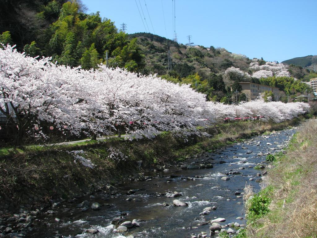 Yugawara Onsen Kawasegien Isuzu Hotel Atami  Exterior foto